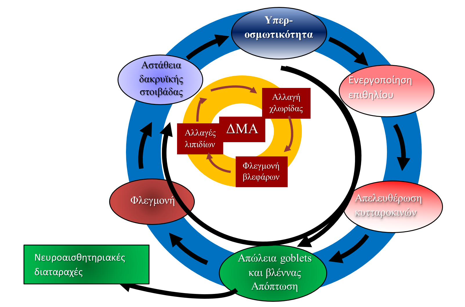 Image A1