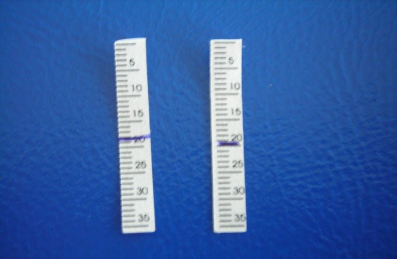 Image 3a